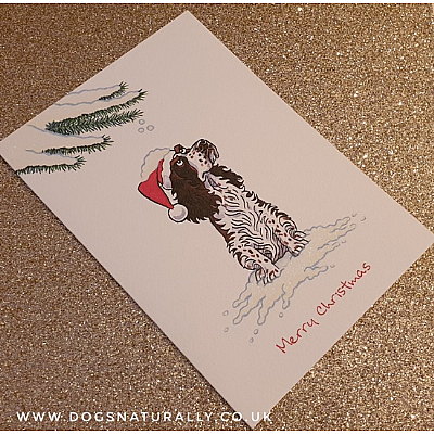 English Springer Christmas Card (Flitter Card)